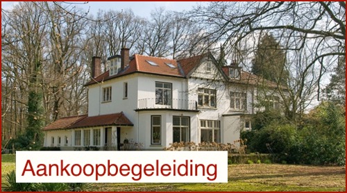 aankoopbegeleiding_1