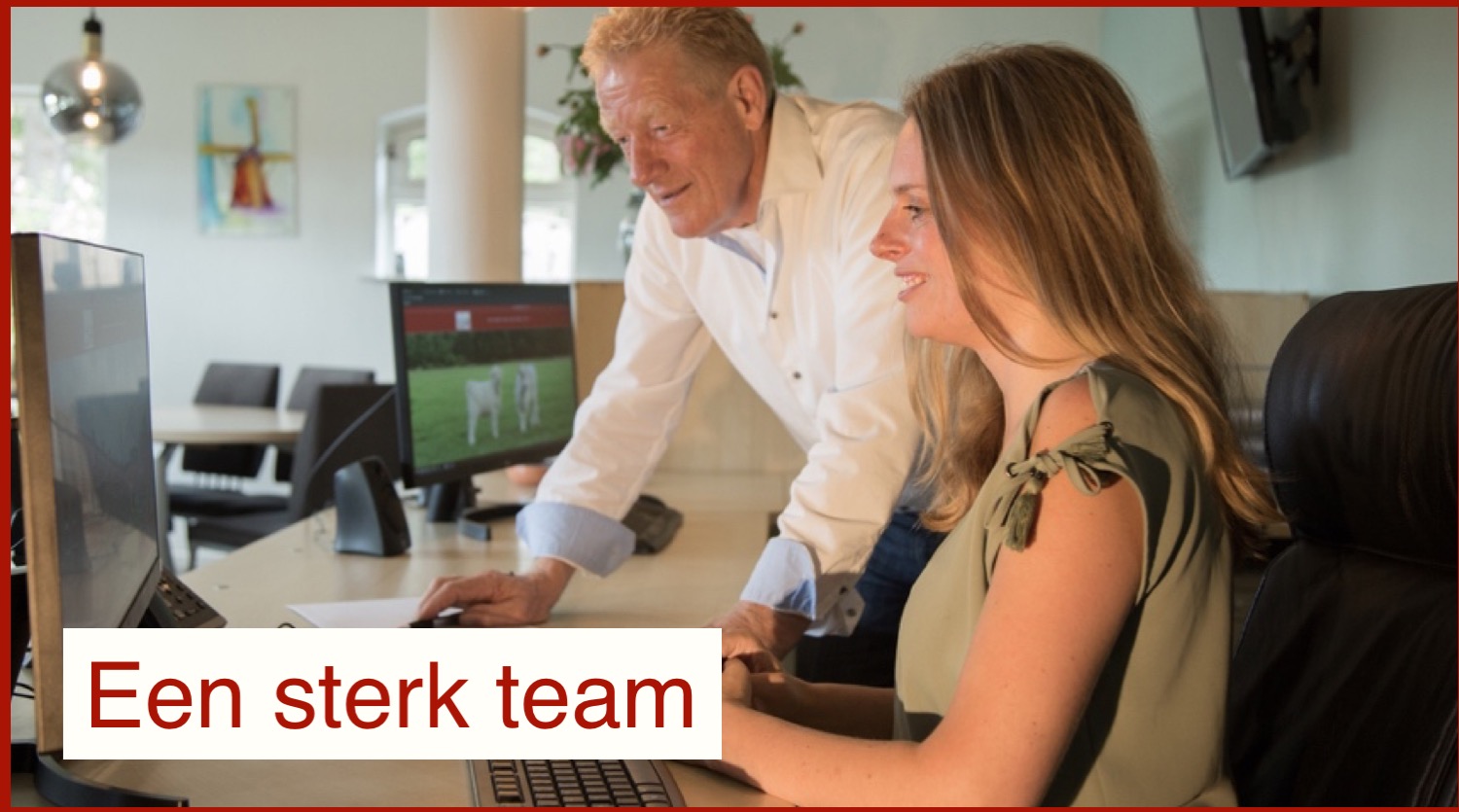 Team Kantoor Frans Mulder Makelaardij Makelaar Weerselo